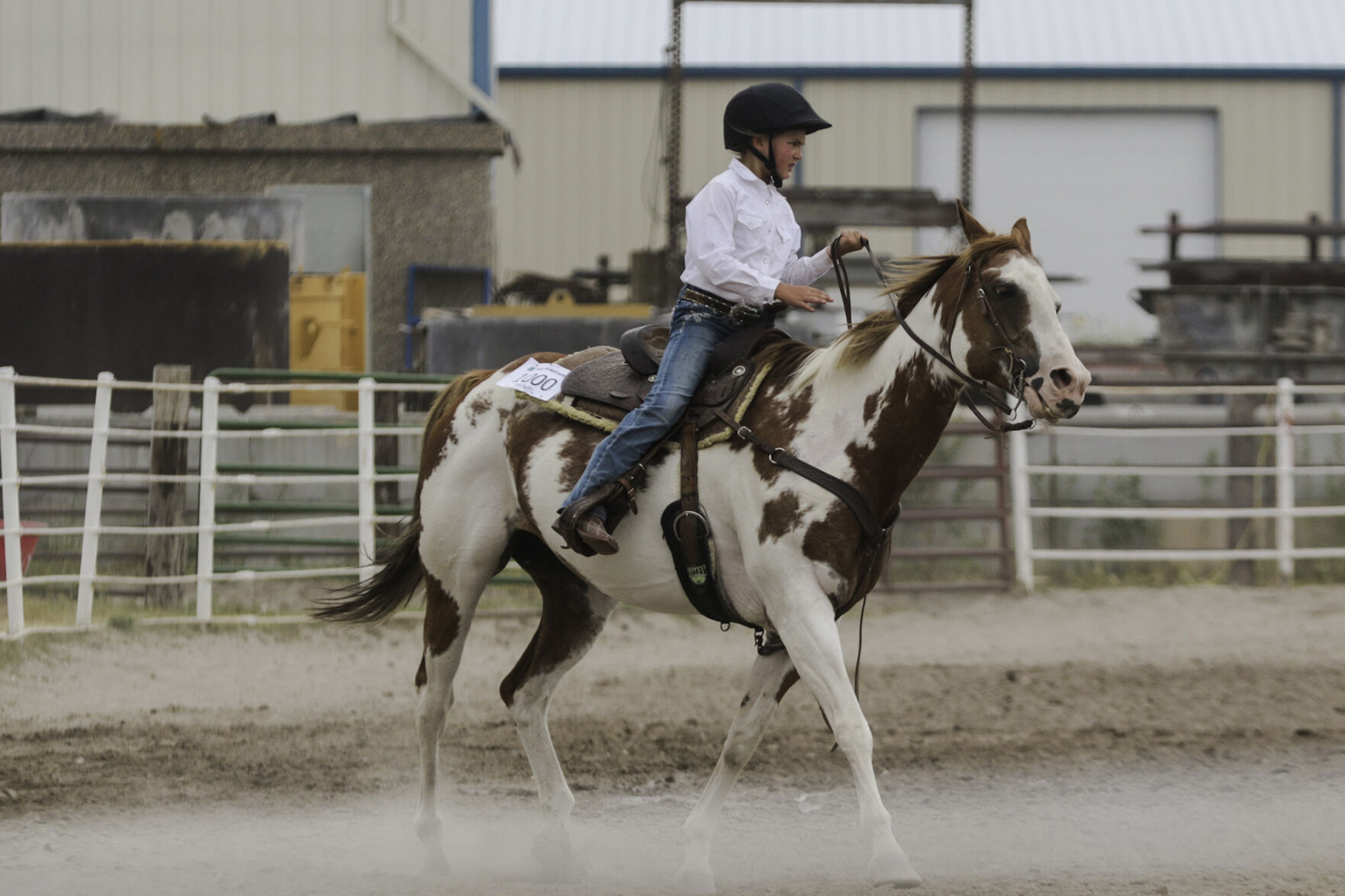 PHOTOS: 4-H Horse Show 2020
